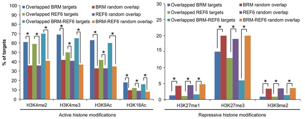 Supplementary Figure 4 Overlap of BRM- and REF6-occupied