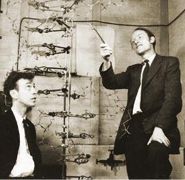 Watson and Crick http://teachers.sduhsd.k12.ca.us/lolson/im ages/watson_crick.