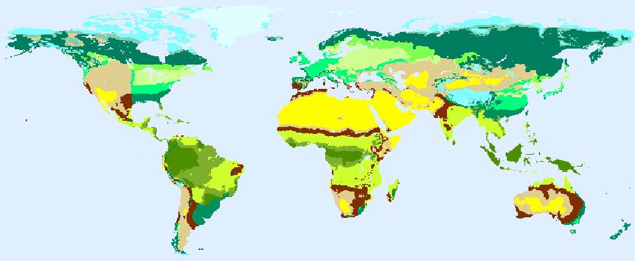 Biome: global vegetation patterns Needleleaved