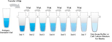 Step Step 2. Prepare 4-Fold Serial Dilution Action 1. Prepare a 4-fold serial dilution of the reconstituted standard(s) using the PCR 8-tube strip provided.