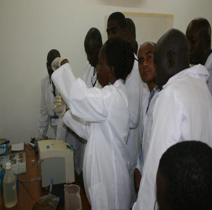 Laboratory demonstrations with mock samples; to give opportunity to trainees to familiarized themselves with microscopes observations and differentiations of bee pests; use of other techniques to
