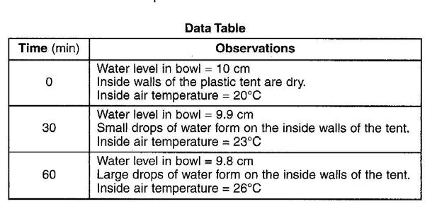 The data table shows the observations recorded when the model was placed in direct sunlight for 60