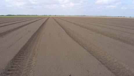 herbicide Keys to Good Chemical Control Well Prepared Seed Beds Free of clods Free of plant residue Good Soil Moisture Uniform and Thorough