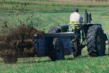 Prevention of Nitrate Poisoning Forage management Avoid excess applications of N fertilizer or manure Sample and test feedstuffs Use forages to make silage, aerating it