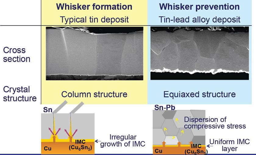 The Sn/Pb alloy, which does not yield whiskers, has an equiaxed, relatively fine grained deposit. Tin, on the other hand, shows larger columnar crystals. Fig.