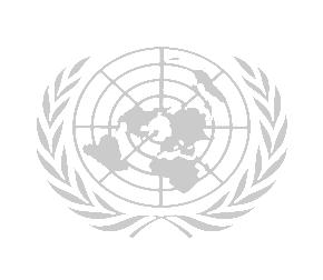 United Nations Department of Economic and Social Affairs Africa Governance Inventory (AGI) and African Peer Review Mechanism