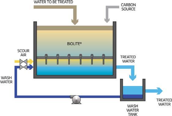 Nitrification - in Trickling Filter Nitrification is followed