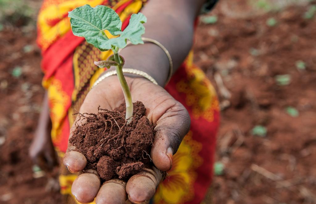 9 Invest in climate-smart soil and land health lessons for spreading successful