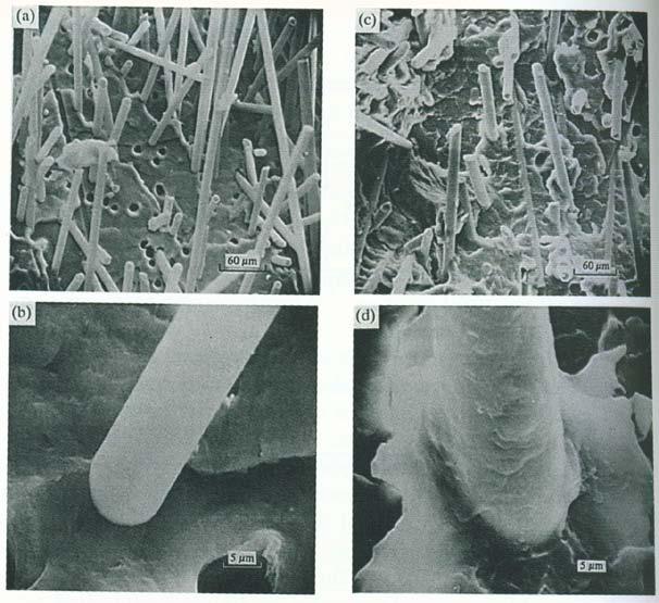 - 11 - Figure 2: SEM micrographs of fracture surfaces of polypropylene-glass fibers composites. (a) and (b) without a coupling agent. (c) and (d) with a coupling agent.