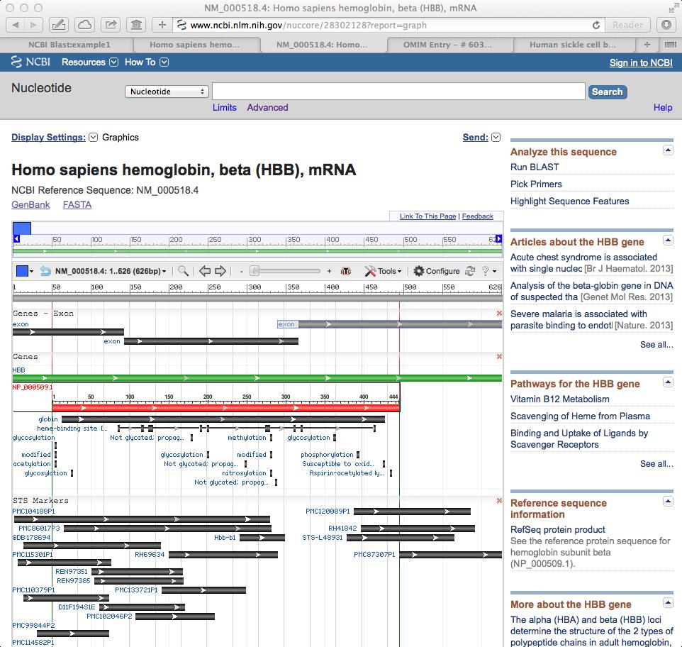 and select Nucleotide from the drop menu associated with the top search box.