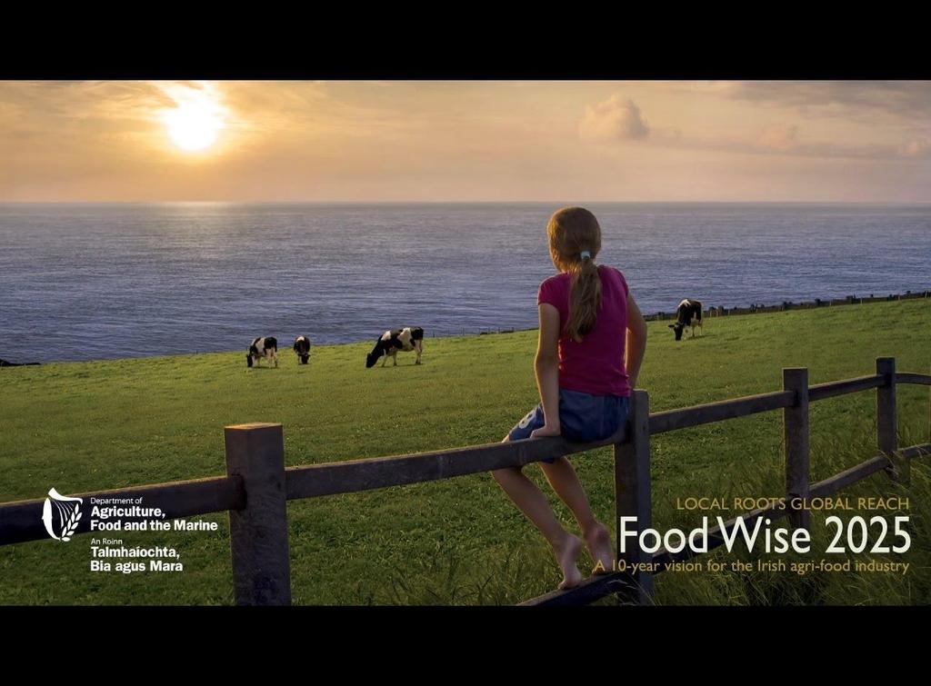 Food Wise 2025: Local Roots Global Reach New Agri Food Strategy Increasing the value of agri-food exports by 85% to 19 billion.