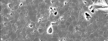 SEM micrographs of sintered compositions (a) Ba,