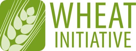 Adaptation of Wheat to Abiotic Stress EWG Annual report and action plan NAME OF EXPERT WORKING GROUP Adaptation of Wheat to Abiotic Stress Coordinating global research for wheat LEADERSHIP &