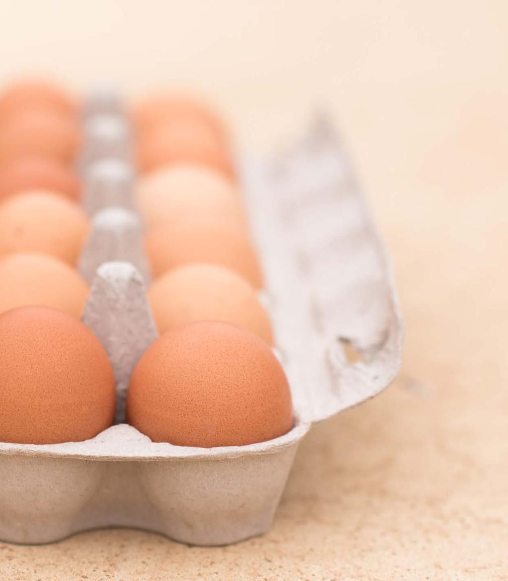 Australian Egg Industry