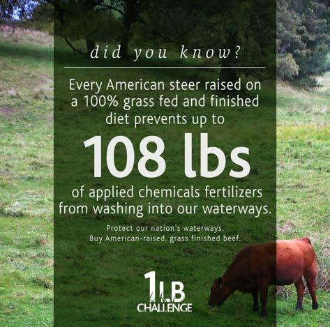 An increase in American-raised grass fed beef sales would: Rebuild soil health: 100% grass fed beef raising techniques protect America's vulnerable grass pastures Improve Water