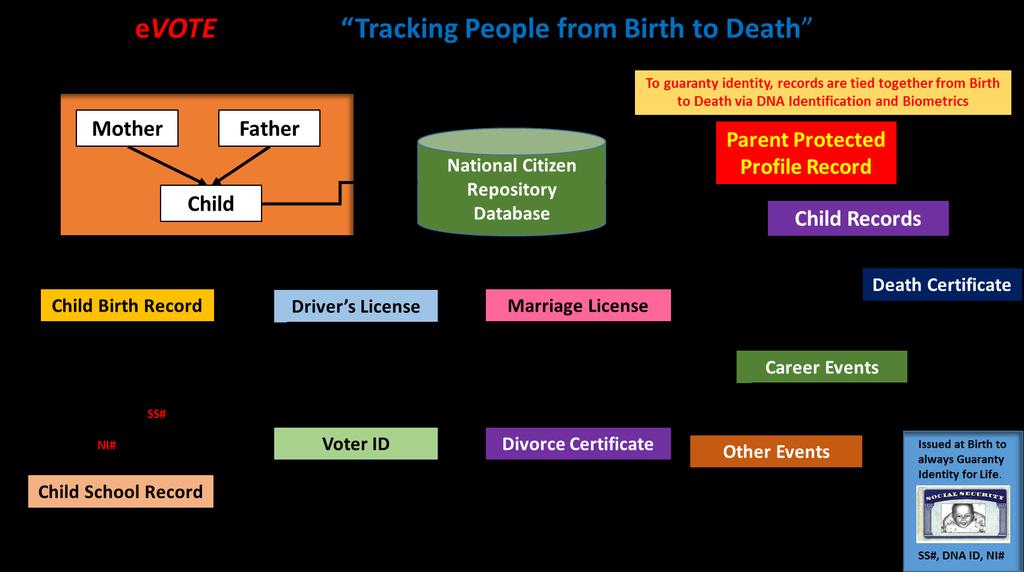 With our data base structure, it is possible to track an individual from Birth to Death, storing biometric information, documents, certifications, and all other relevant information associated with