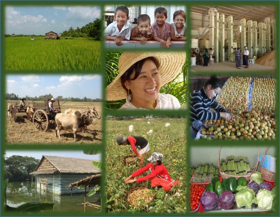 sustainable agricultural system contributing to the socioeconomic