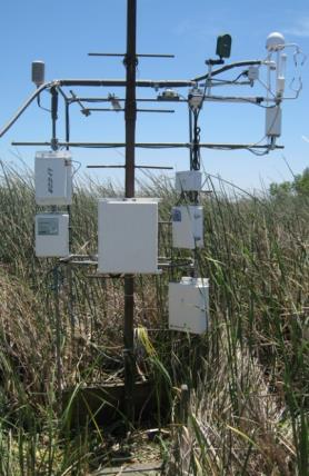 Tidal Marshes Contribution to Climate Change Mitigation and Adaptation Stephen Crooks Ph.D.