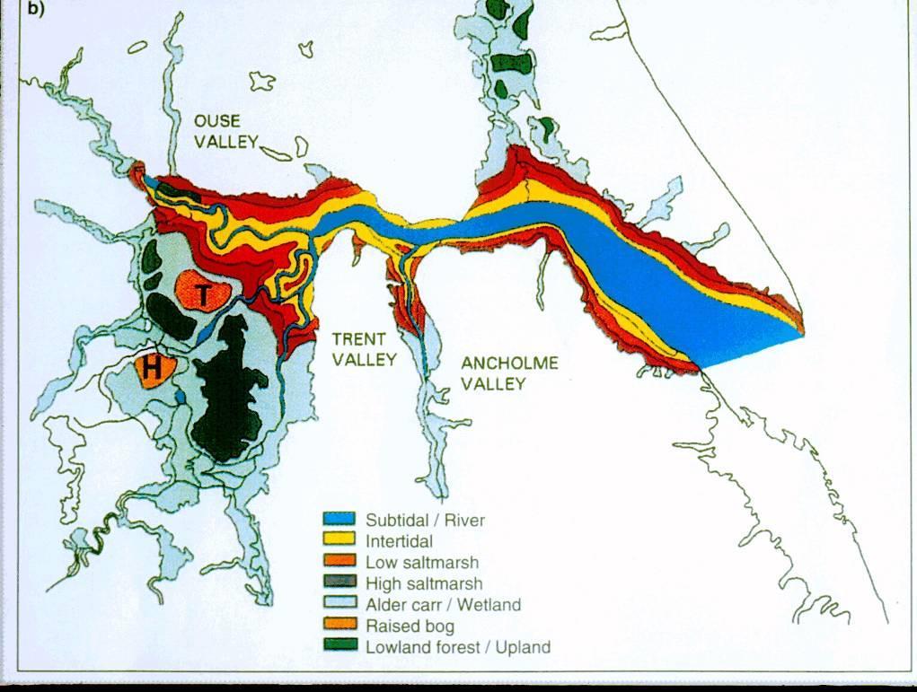 6 Continuum of coastal ecosystems loss over time Pre-Mediaeval The