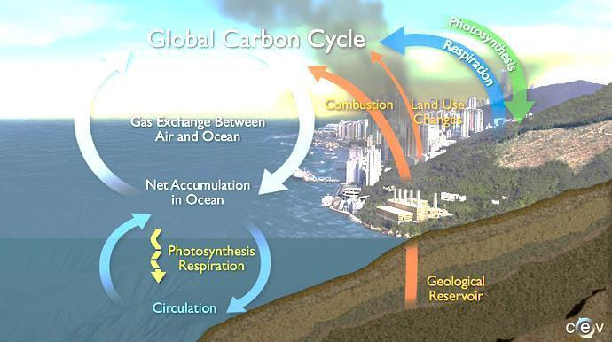 OXIDES OF CARBON 1. Carbon Dioxide: Carbon dioxide can enter our atmosphere through COMBUSTION and NATURAL SOURCES.