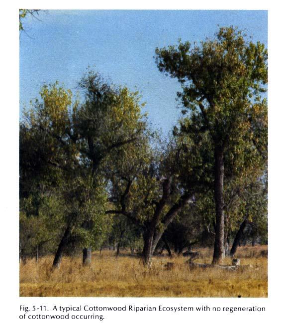 CONCLUSIONS Various methods have been presented in this Chapter to create desired structural stages and canopy closures for wildlife.