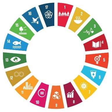 Goal 16 commits to promoting effective, accountable and inclusive institutions - critical to realize the SDGs 1 2 3 4 People s vision of