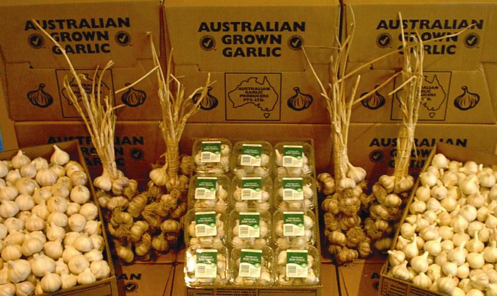 Product Range: Loose Garlic graded by size and packed into 10kg boxes / crates Pre packed Baby Garlic 100g punnets,