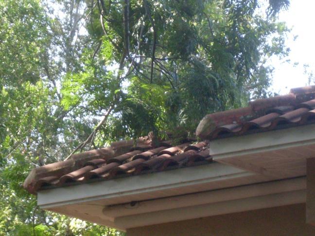damaged roof tiles were found in
