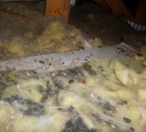 the attic in multiple locations. Repair: The insulation is low in various places.