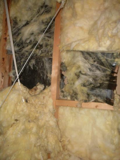 Potentially hazardous materials such as Asbestos and Urea Formaldehyde Foam Insulation (UFFI) cannot be positively identified