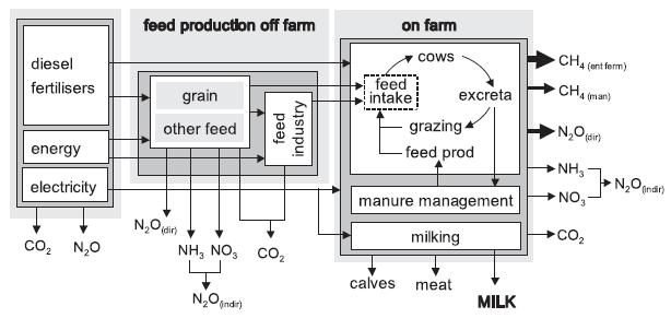 Illustration of a dairy system input and output and important internal flows