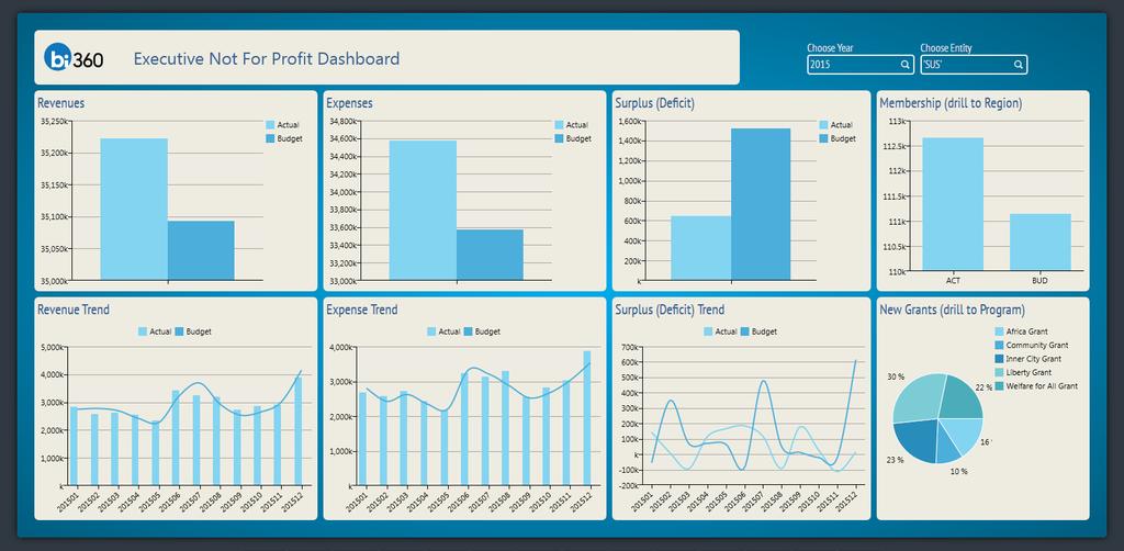 NFP02 Executive Dashboard This is an example of a summary dashboard for executives.