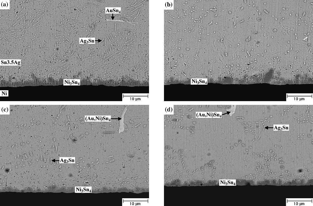 Intermetallic Reactions in Sn-3.5Ag Solder Ball Grid Array Packages with Ag/Cu and Au/Ni/Cu Pads 475 Fig. 7. Morphology of intermatallic compounds formed in the Sn-3.