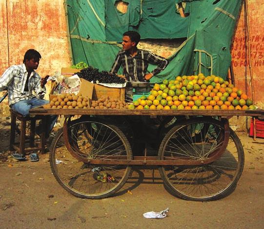 48 Citrus fruit vendor on a street in India.