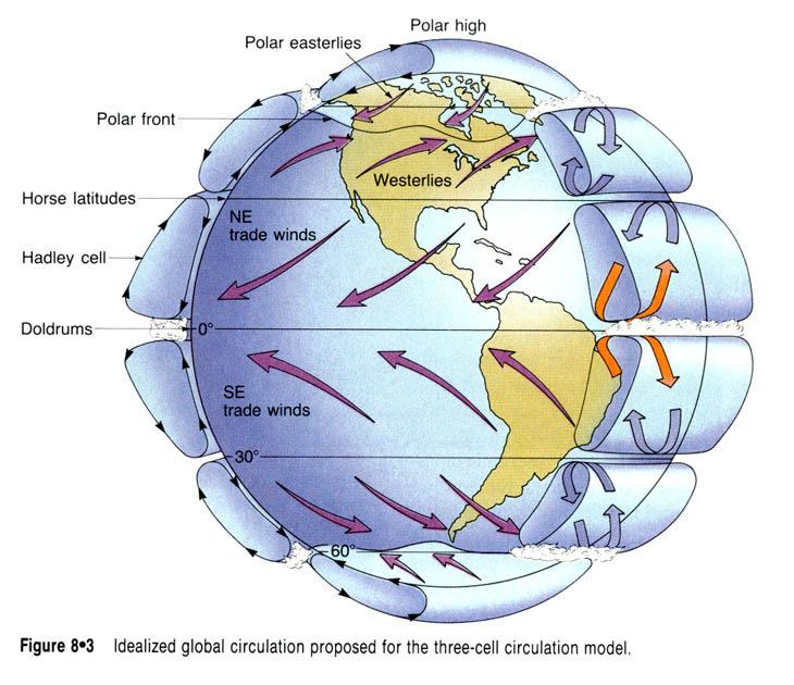 Ferrel cells and polar cells = lift air Creates precipitation at 60 degrees latitude north and south Causes air to descend at 30 degrees latitude Hadley Cells are the low-latitude overturning