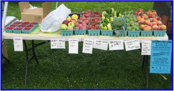 Direct Marketing Channels Direct marketing channels include farmers markets, seasonal farm stands and farm stores, u-pick (also called pick-your-own) and Community Supported Agriculture (CSA).