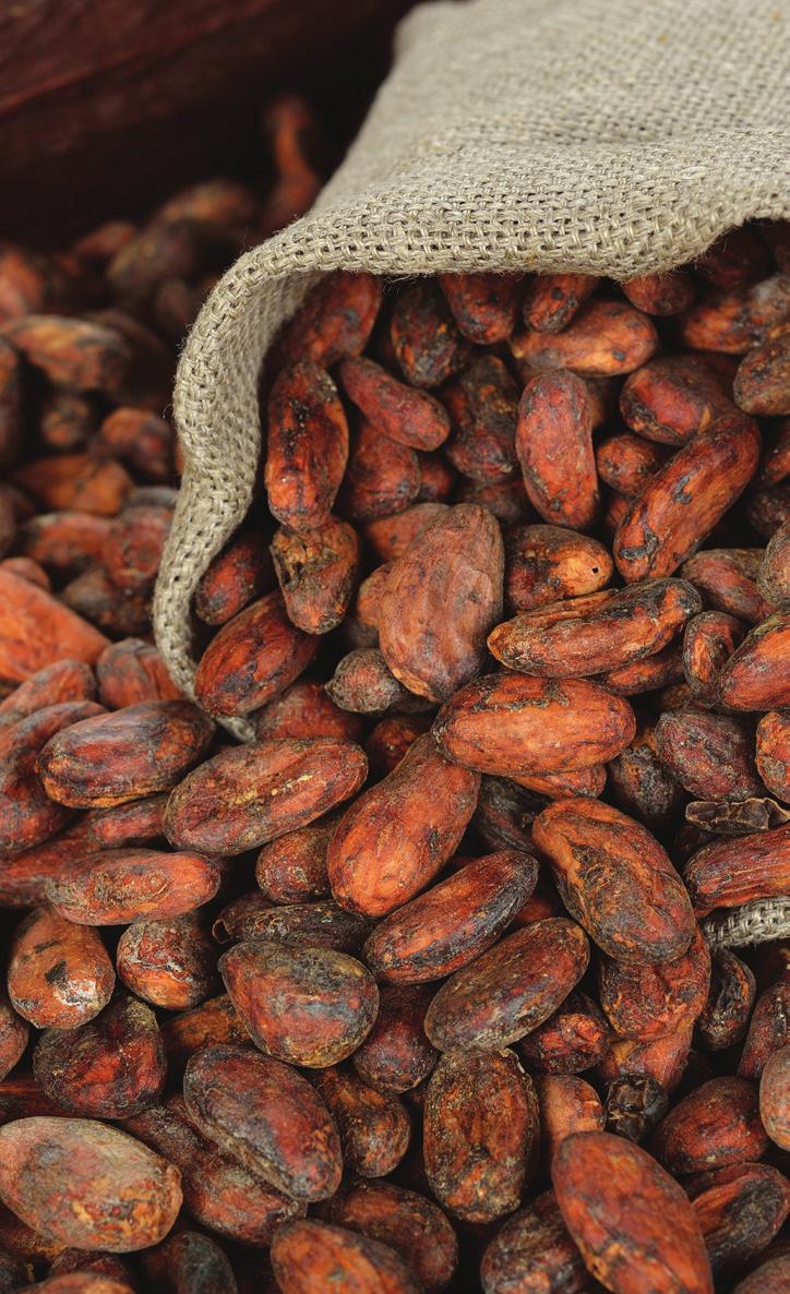 Choosing FOSS as your partner gives you access to: Leading NIR technology and expertise in Food- Agri applications A partner with global solutions within cocoa processing and chocolate manufacturing