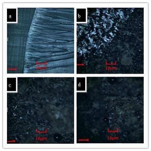 Figure 3. Optical micrographs crack pinning of RSF/ epoxy composites (a) neat epoxy, (b) 5 %wt, (c) 10 %wt and (d) 15 %wt. Figure 4.