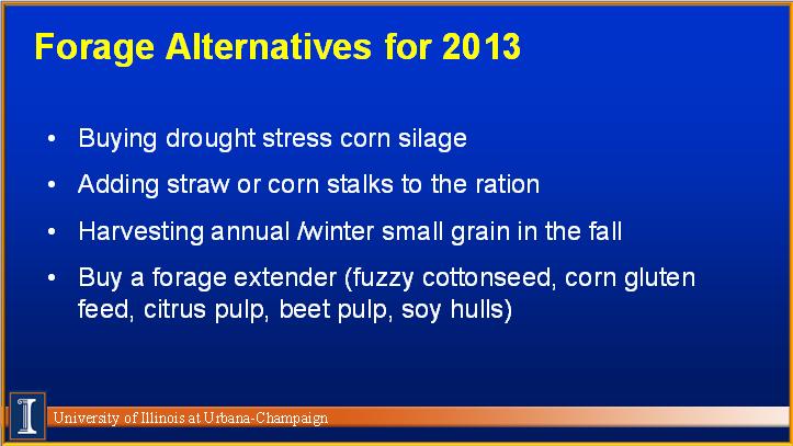 Drought-Stress Risks Shortage of forages Corn grain may be light weight and harder (finer processing) Lower quality corn silage Less starch in corn silage Higher NDFD Nitrate levels Aflatoxin risks