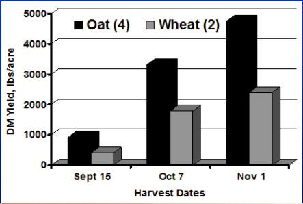 by Wayne Coblentz and Mike Bertram, University of Wisconsin Forage Team Standing DM Concentrations Standing DM concentrations for fall-grown oat forages harvested on 5 dates throughout the fall at