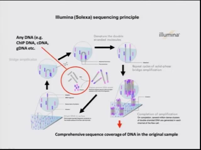 (Refer Slide Time: 30:08) So what has been shown is the illumina platform, what is called as Solexa sequencing principle and this pretty much gives you comprehensive sequencing coverage of the DNA.