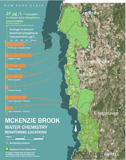 INDICATOR OF NUTRIENT ENRICHMENT, PRODUCTIVITY) MCKENZIE BASIN Focused water quality monitoring