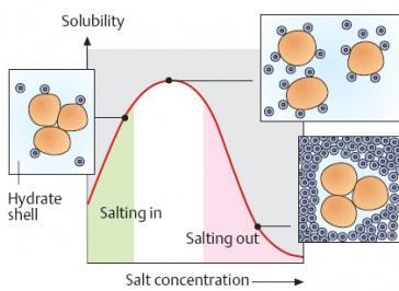 Salting in salting out Proteins are usually poorly soluble in pure water, but their solubility increases as the