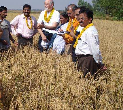 Experiences in System of Rice Intensification: System of Rice Intensification was pioneered by Pragati in Koraput District with demonstrations for 11 small farmers in Kharif 2006.