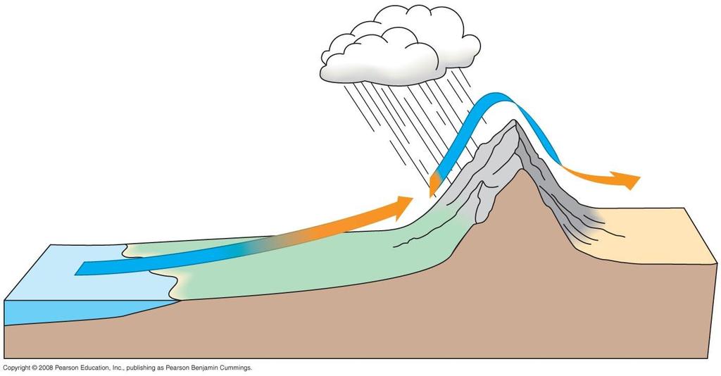Fig. 52-13 How mountains affect rainfall Wind