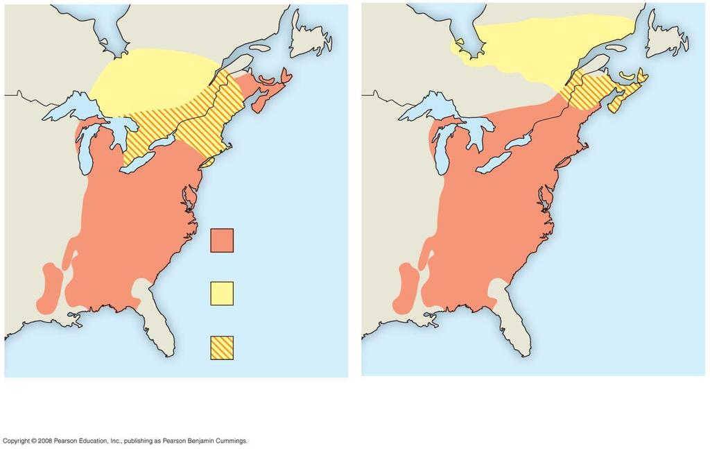 Current range and predicted range for the American beech (Fagus grandifolia) under two scenarios of climate