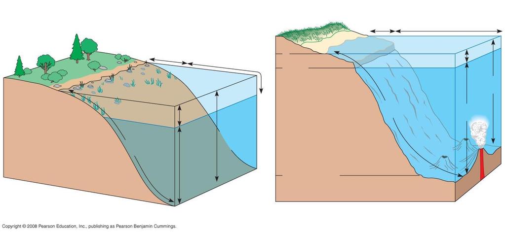 Fig. 52-16 Zonation in aquatic environments Intertidal zone Neritic zone Oceanic zone Littoral zone Limnetic zone 0 200 m Continental shelf Photic zone