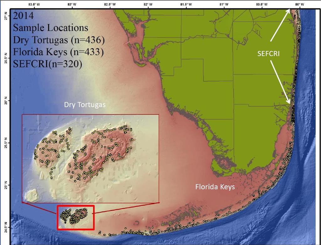 NPS Everglades National Park Fish Monitoring of the Dry Tortugas (DRTO) Reef Visual Census (RVC) Measures: Fish & Benthic sampling Spatial comparisons Life history stage Diversity Metrics: Percent