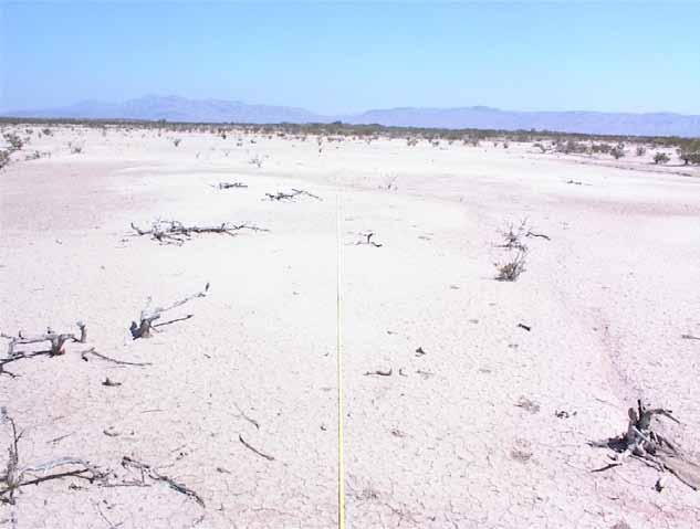 Big Bend Dynamic Soil Properties and Ecological Site Project Loamy Hot Desert Shrub Ecological Site (R042XG738TX) Sparsely Vegetated State 10-13 inch precipitation zone Calcareous alluvium parent