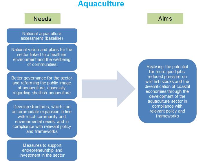 Aquaculture Summary of working groups Draft of action